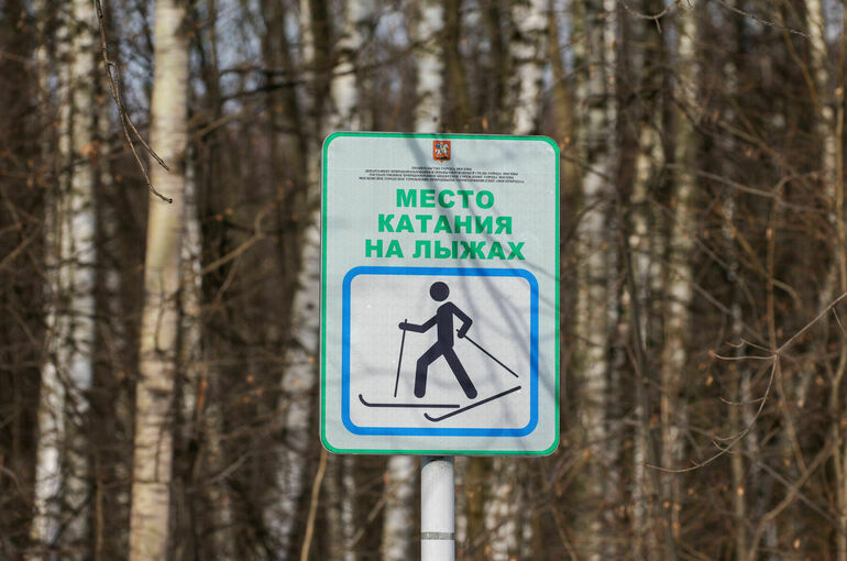 Фиджитал-спорт и лыжные гонки войдут в модули уроков физкультуры в школах