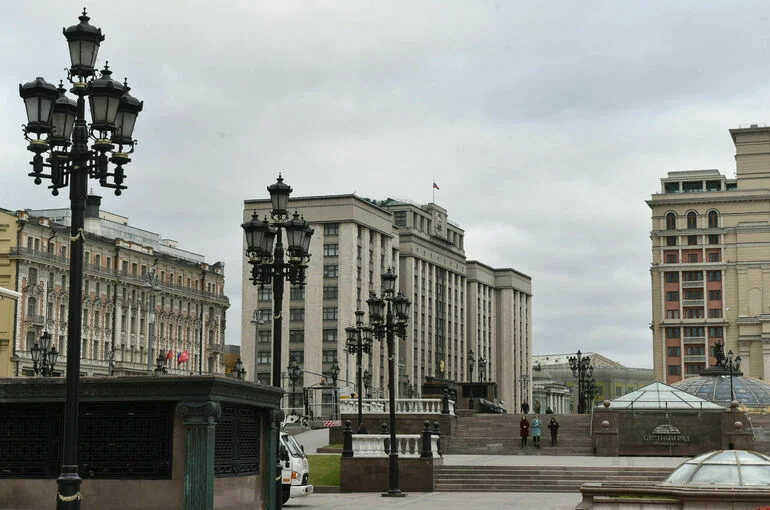 Госдума приняла обращение к Мишустину о пальмовом масле