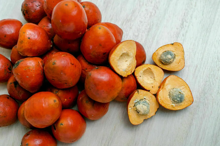 Плоды масличной пальмы, из которых получают пальмовое масло