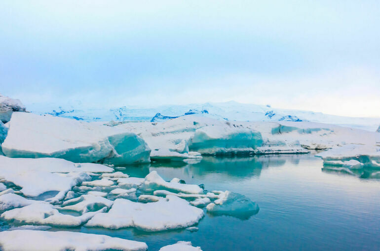 Ассоциация полярников принимает предложения для Года Арктики в РФ