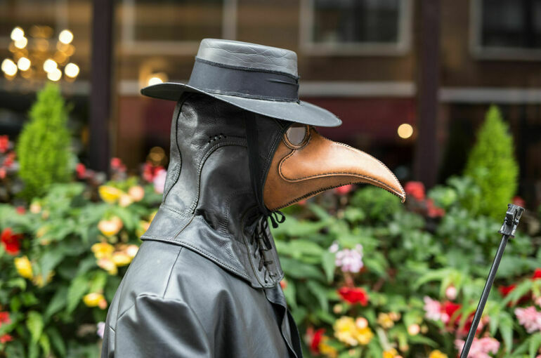 Эксперты рассказали об опасности бубонной чумы