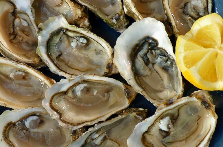 Володин: Устрицы не должны иметь налоговых льгот как детское питание