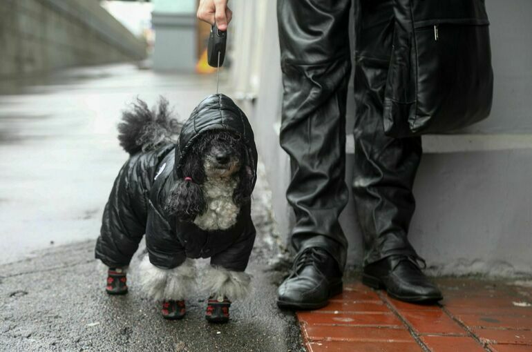 В Гидрометцентре рассказали, как долго продержится тепло в Москве и Подмосковье
