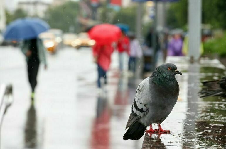 Москвичам спрогнозировали затяжные дожди 