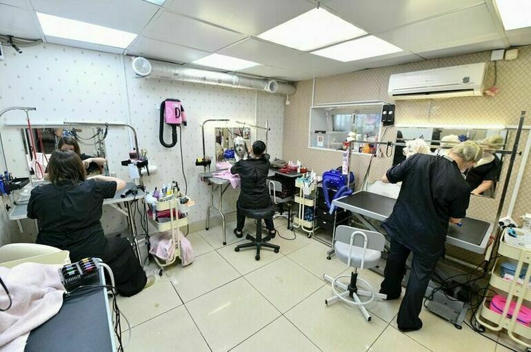 Сенаторы одобрили освобождение владельцев нежилых помещений от платы за капремонт 