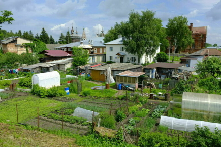 Депутат объяснил, какие дачные постройки освобождаются от налога