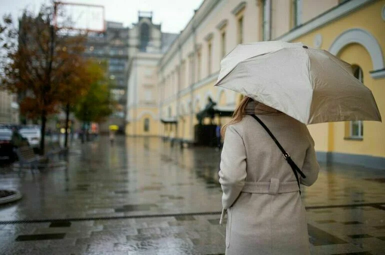Москвичам спрогнозировали пасмурную погоду на ноябрьских выходных