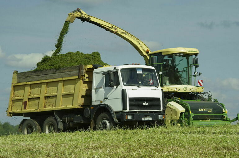 Порядок выделения субсидий для аграриев предложили актуализировать