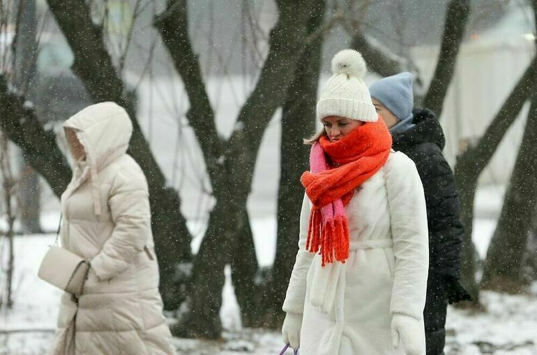 Холоднее предыдущей, но теплее, чем обычно: синоптики рассказали, какой будет зима