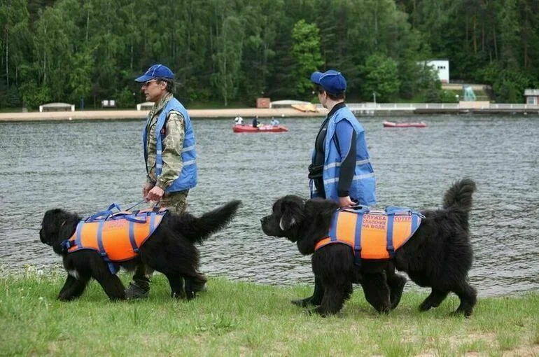 Отдыхающие не смогут плавать на матрасах в море