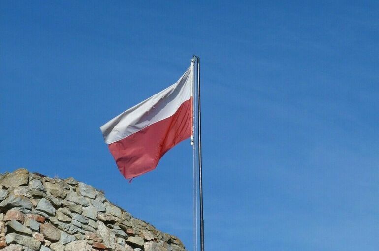 Польша намерена создать свою «стену дронов»