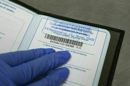 В Госдуме рассказали, когда поставят на учет всех Барсиков и Жучек