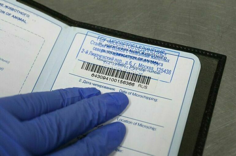 В Госдуме рассказали, когда поставят на учет всех Барсиков и Жучек