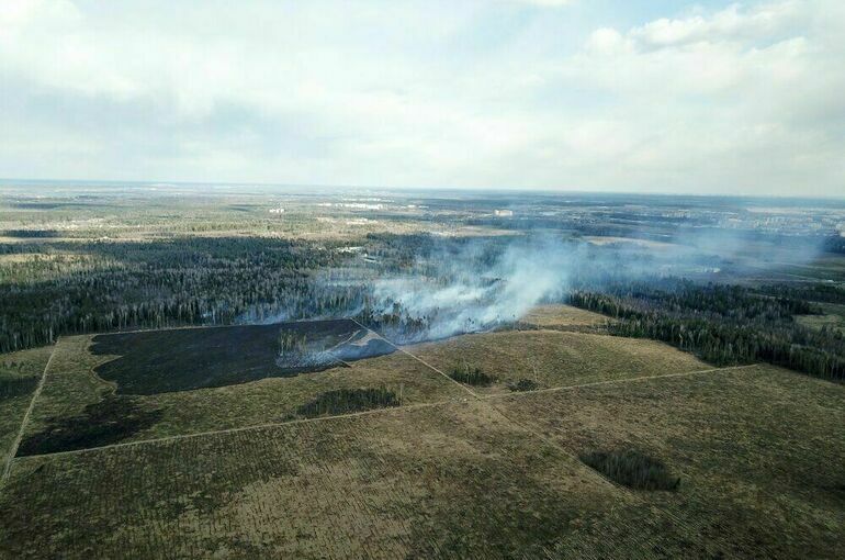 МЧС предложило запретить строить здания ближе 100 метров к лесу