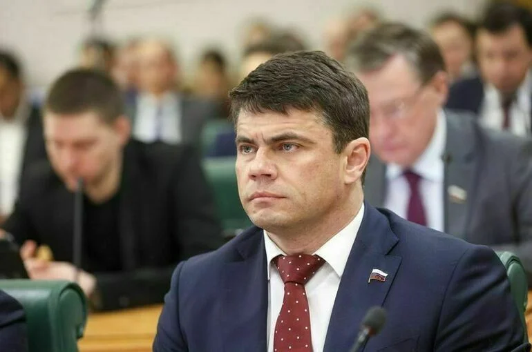 Депутат Боярский: Родители смогут передавать свои сим-карты детям