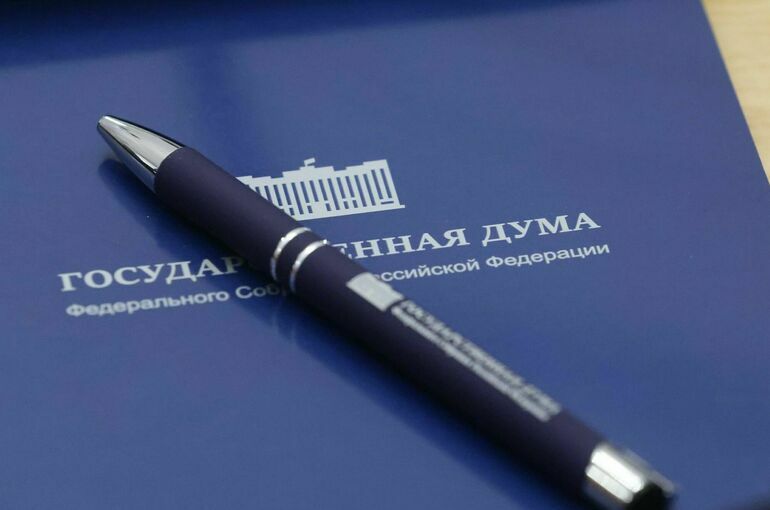 Комитет Госдумы одобрил введение допвыплат для матерей-героинь