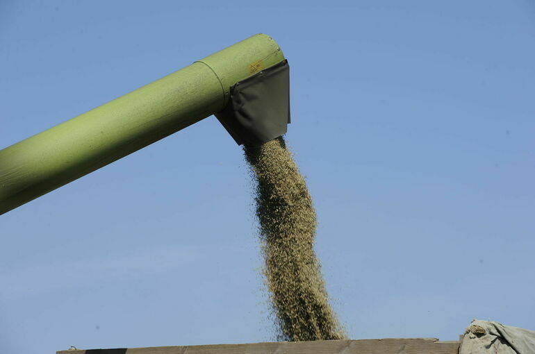 Сбор зерна в новых регионах составит порядка 4 миллионов тонн в 2025 году