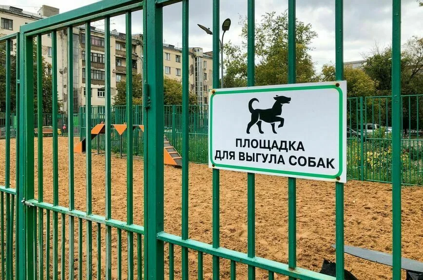 Четыре «квадрата» на брата: как не получить штраф за прогулку с собакой