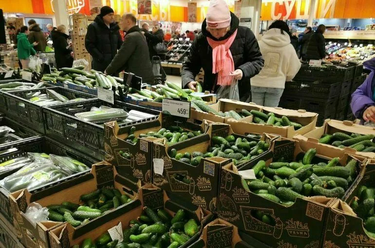 Огурцы подорожали на 6,1%
