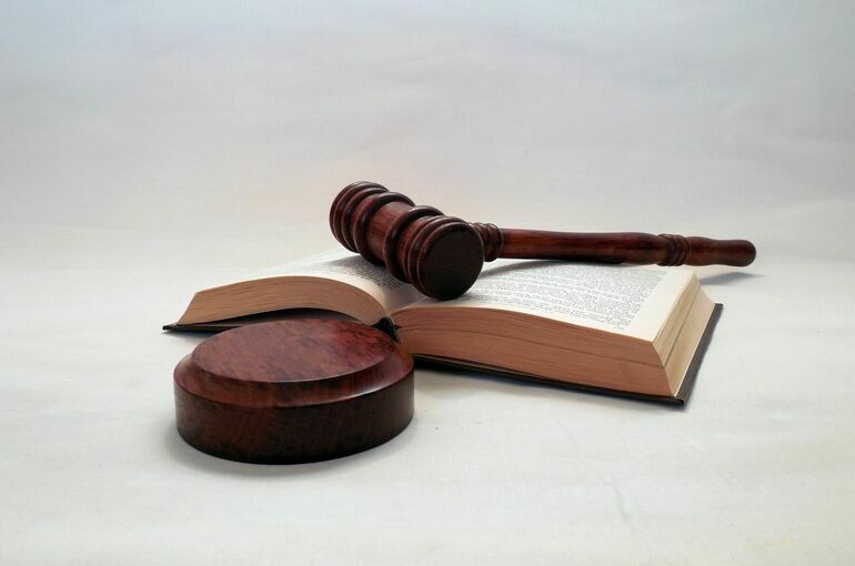 Актрису Яну Троянову* заочно приговорили к восьми годам колонии