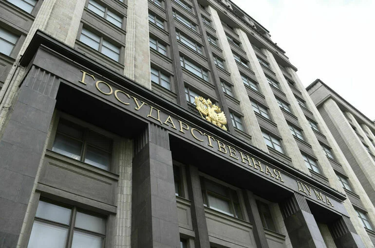 Госдума рассмотрит законопроекты о соцподдержке матерей-героинь 19 ноября