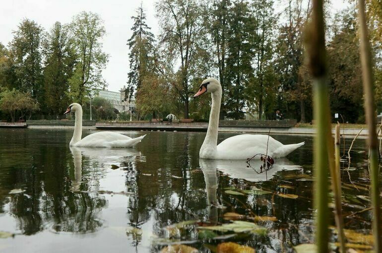 В Москве побит температурный рекорд 85-летней давности