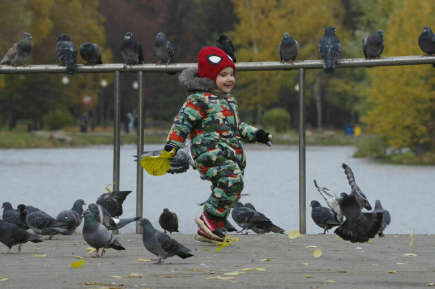 Размер маткапитала на первого ребенка в 2026 году станет больше