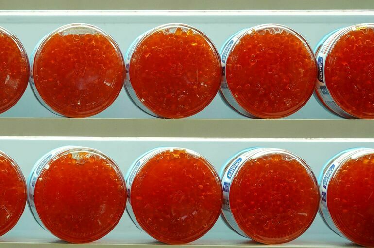 Что мы знаем и не знаем о красной икре