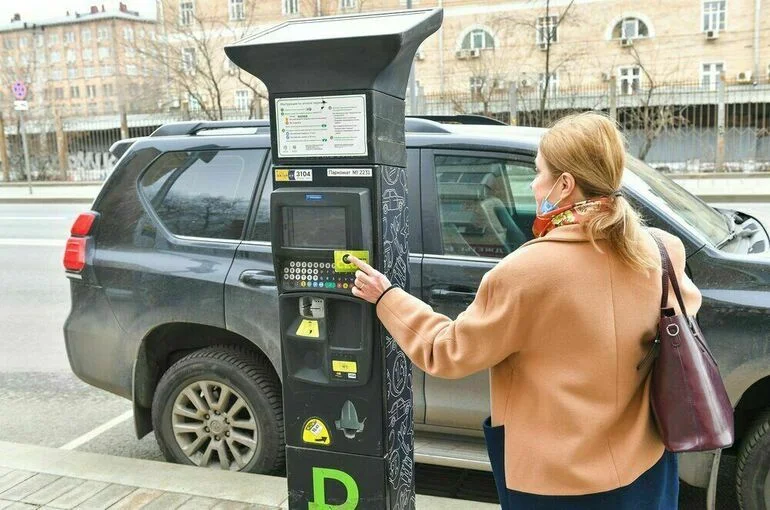 В Госдуме предложили сделать бесплатной парковку для многодетных