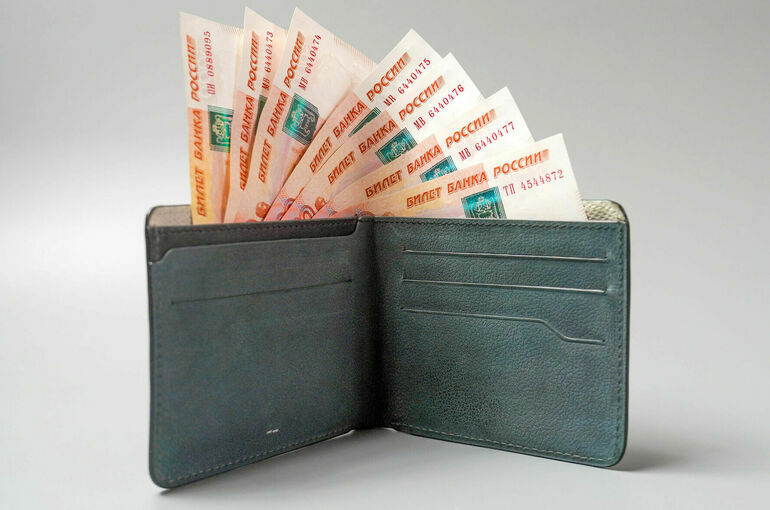 Депутат напомнил россиянам порядок действий при задержке зарплаты