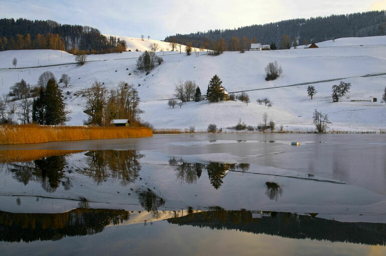 Депутат рассказал о главных направлениях развития Арктических территорий