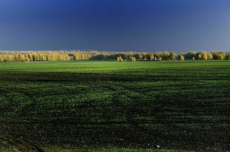 В Госдуму внесли законопроект о землях с особыми условиями использования