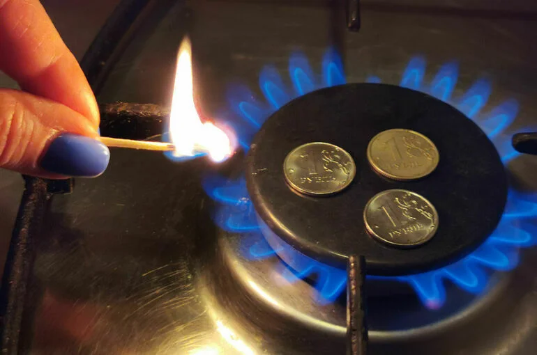 Многодетным семьям предложили компенсировать проверку газового оборудования
