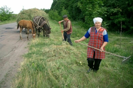У сел могут появиться свои стратегии развития