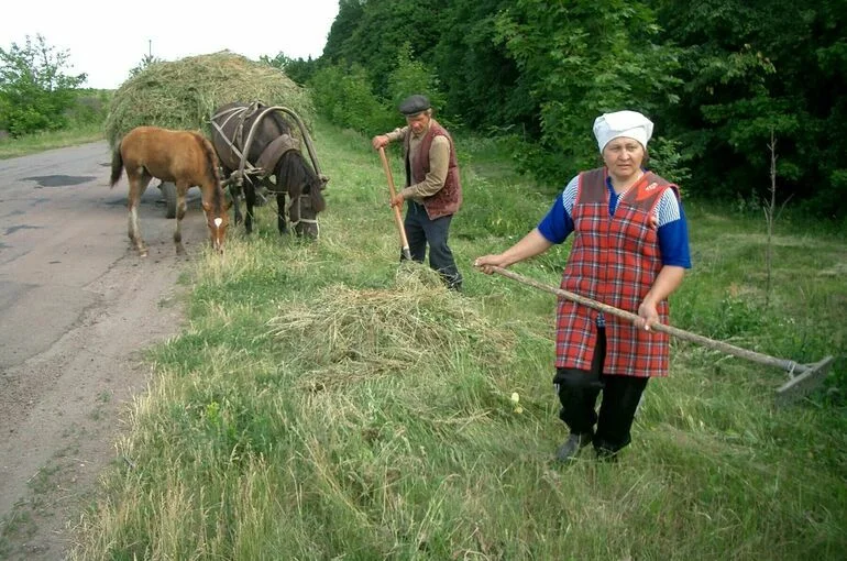 У сел могут появиться свои стратегии развития