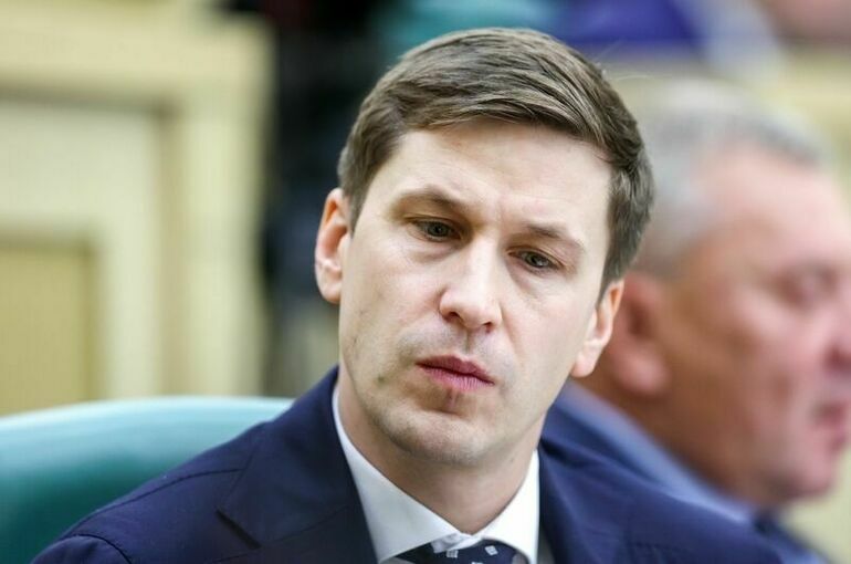 Сенатор рассказал, какие льготы положены матерям-героиням