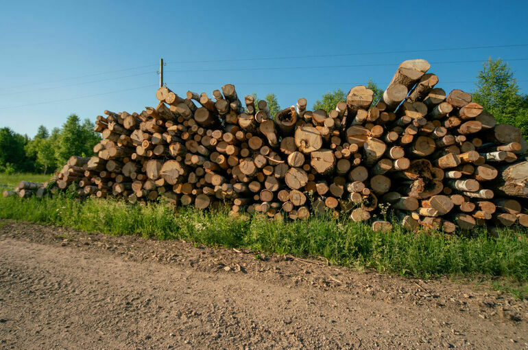 Лесной отрасли просят уменьшить налоги и обеспечить сбыт