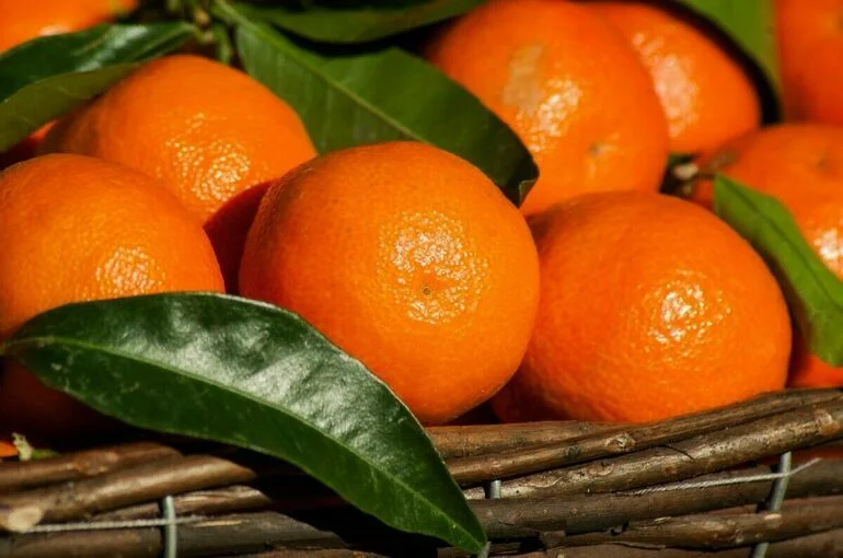 Как выбрать вкусные мандарины на Новый год