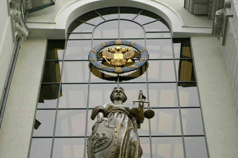 В Верховный суд поступила жалоба по «делу Долиной»