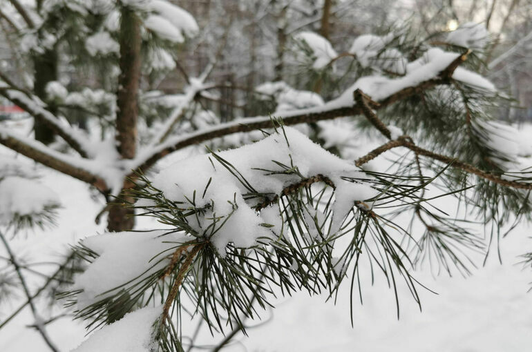 Вильфанд: На следующей неделе снег покроет 92% России