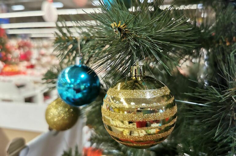 Депутат напомнил о штрафах за несогласованное украшение подъездов к Новому году