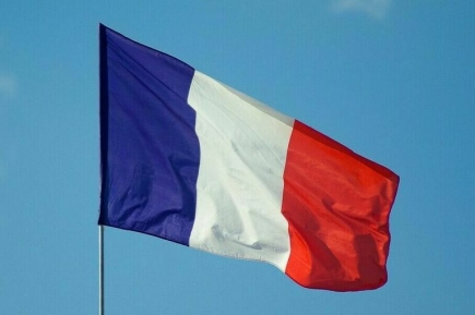 Во Франции считают, что Трамп «разгромил» Зеленского