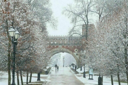 От снега к дождю и обратно: погода в Москве на неделю