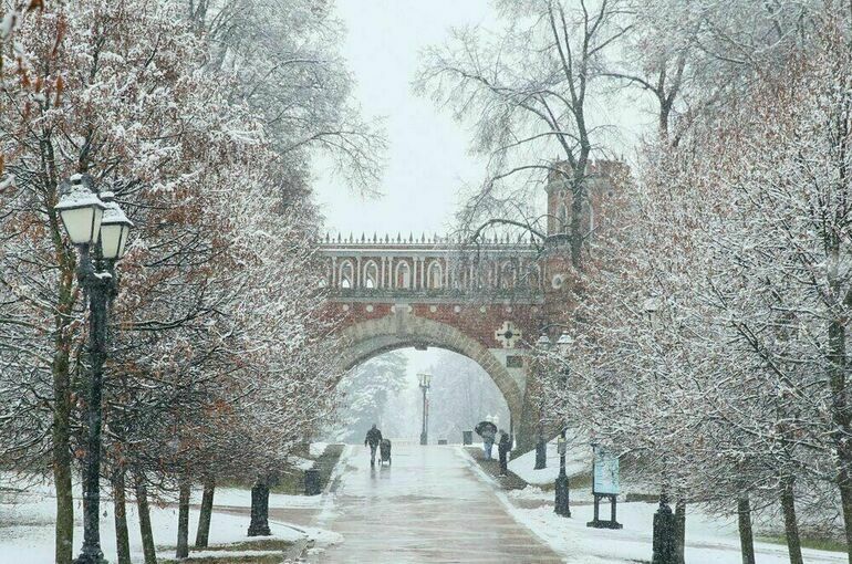От снега к дождю и обратно: погода в Москве на неделю
