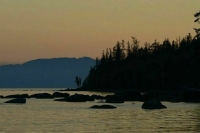 Госдума рассмотрит вопрос о запрете рубок леса на Байкале