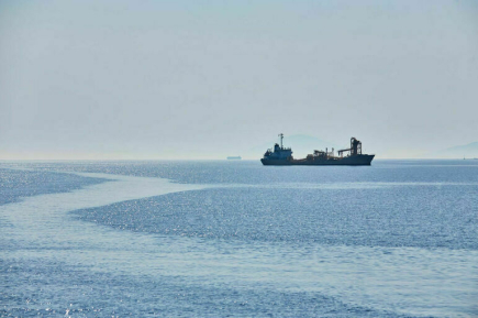 Политолог объяснил, зачем Украина атакует суда в Черном море