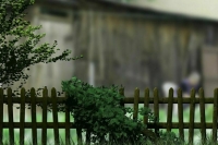 Жителям приграничных регионов вернут землю и дома