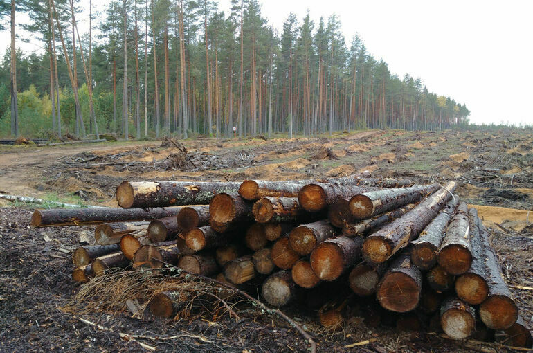 Строить жилье и вырубать лес на Байкале запретят