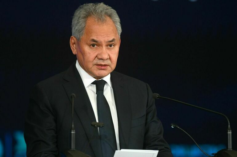 Шойгу заявил о появлении на Востоке «зародышей НАТО»