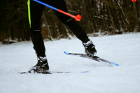 Двух российских лыжников и фристайлистку допустили к отбору на Олимпиаду